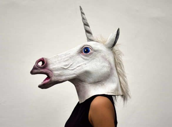 unicorn costume