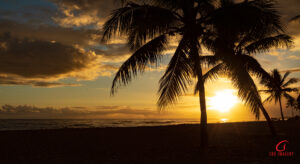 Hawaii Sunset